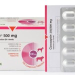 0161782_clavaseptin-500-mg-1.jpeg