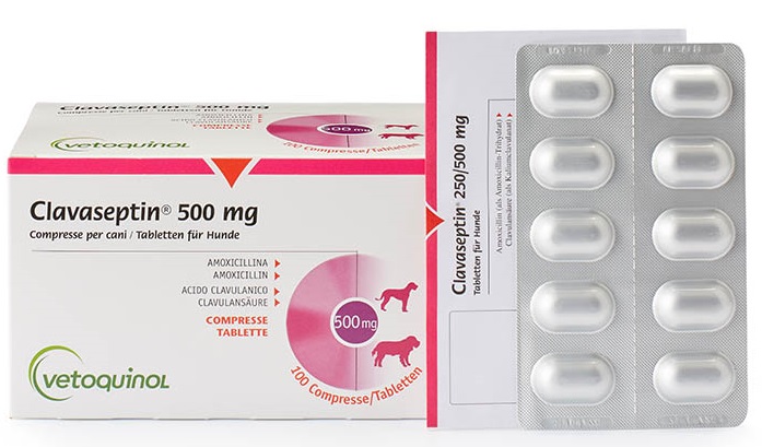 Clavaseptin 500MG 100 CP