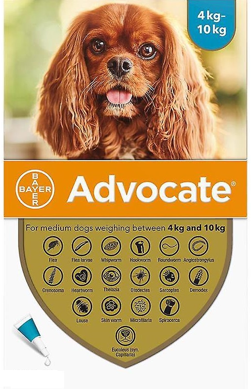 Advocate Cao 1ml x3 4-10kg VET