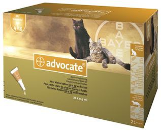 Advocate Gato 0,4ml x21 Pipeta "até 4kg" VET