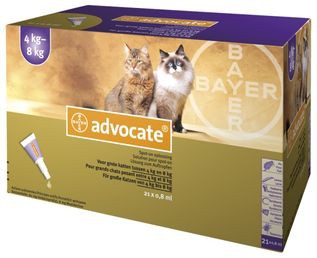 18132ok_2 Advocate Gato 0,8ml x21 Pipeta "4-8kg" VET - Image 1