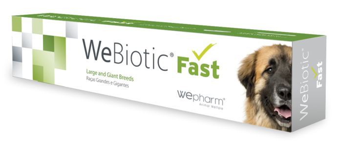 WEBIOTIC FAST 60ML