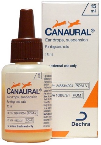 Canaural Gts Oto