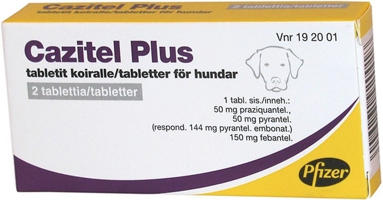 Cazitel Plus Comp Caes X2 comp VET