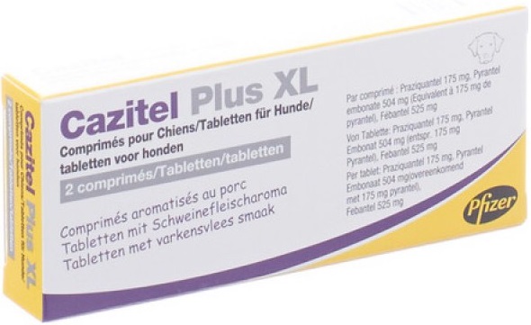 Cazitel Plus Xl Comp Caes X2 comp VET