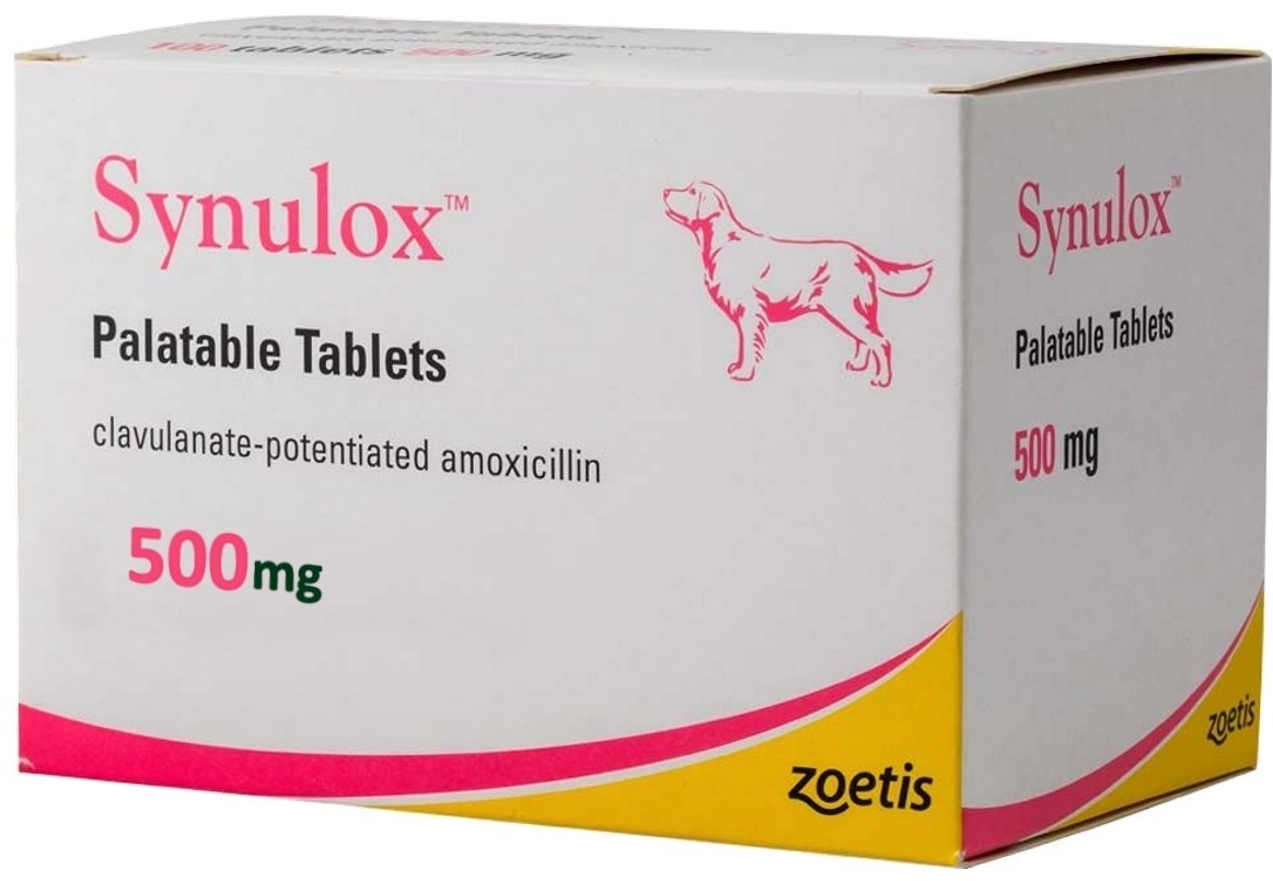 Synulox Pt Comp 500 Mg X 10 comp palatável
