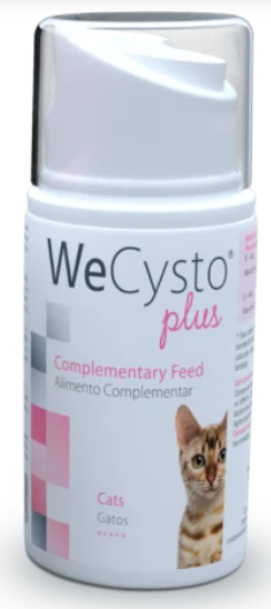 WECYSTO PLUS GEL 50 ML Validade 06-2026