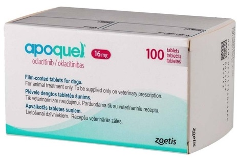 Apoquel Comp 16mg X100 Cao normais