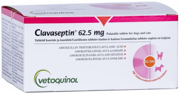 Clavaseptin 62.5MG 100 CP