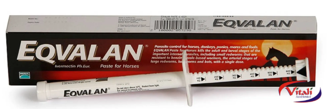 EQVALAN PASTA SER. 6,42G