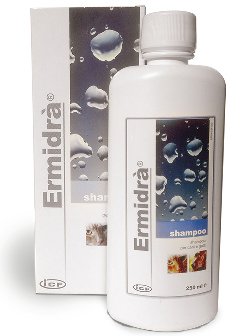 Ermidra Champô Clorexidina 250ml
