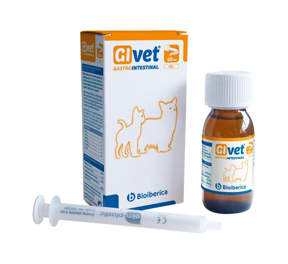 GIVET GEL ORAL 60ML