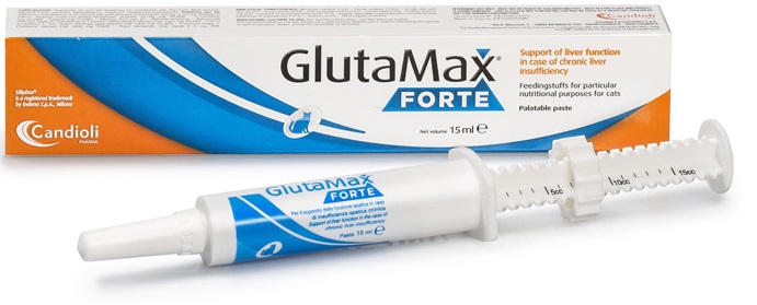 GlutaMax Forte pasta 15ml (descontinuado)