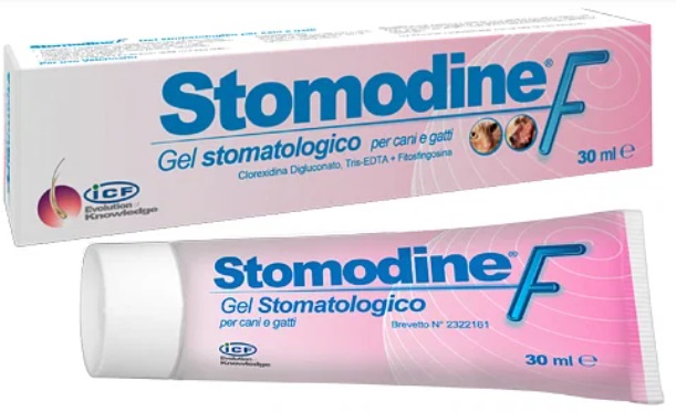 STOMODINE F BISNAGA DE 30 ML