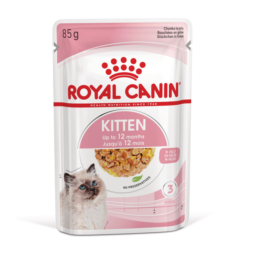 Royal Canin Kitten (geleia) - Gato - 12x85g