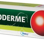 Lauroderme (100g)