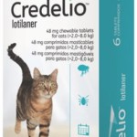 Credelio Comp 2-8kg 48mg X6 Gato