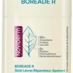 Noviderm Boreade Repar Stick Lab 11ml