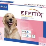 Effitix268/2400mg Pip Caes 20-40kg X4