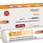 7838644-frente