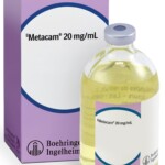 Bovine – Metac