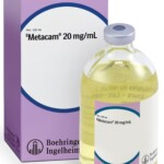 Bovine – Metacam (1)