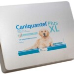 Caniquantel-Plus-XL-600×600-1-1.jpg