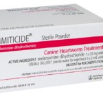 Immidicide-Hero-1.jpg