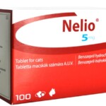 Nelio_hu-1.jpg