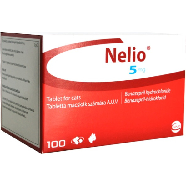 Nelio_hu-1.jpg