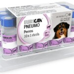 Pneumo_Eurican_vacuna_Cachorros_m-2