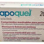 Sem-Títulosadasd-1-1.jpg
