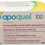 Sem-Títusadlo-1-1.jpg