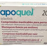 Sem-sadfsaTítulo-1-1.jpg