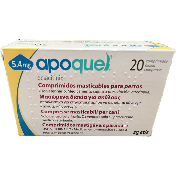 Sem-sadfsaTítulo-1-1.jpg