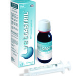 VETGASTRIL-20-ml
