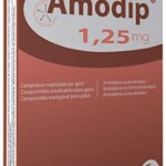 amodip-1.jpg