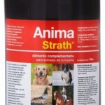 anima-strath