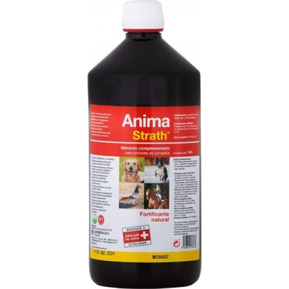 anima-strath