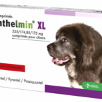 anthelmin-vermifuge-chien-xl-2-comprimes