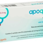 asdas2
