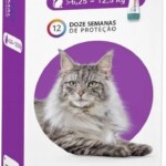 bravecto-gato-1.jpg