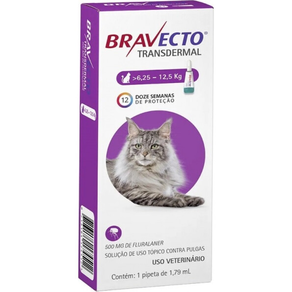 bravecto-gato-1.jpg