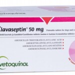 clavaseptin_50mg_100_tablets-1_1-1.jpg