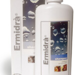 ermidra-ermidra_1
