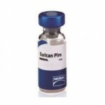 eurican-pirovac-1-dosis-venta-exlusiva-veterinarios