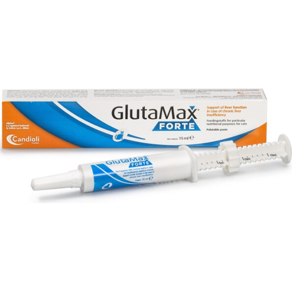 glutamax_forte_1-800×800-1-1.jpg