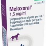 meloxoral-15-mgml-suspensao-oral-para-caes-10ml-1.jpg
