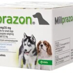 milpraz411