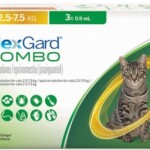 nexgard-combo-gato-antiparasitario